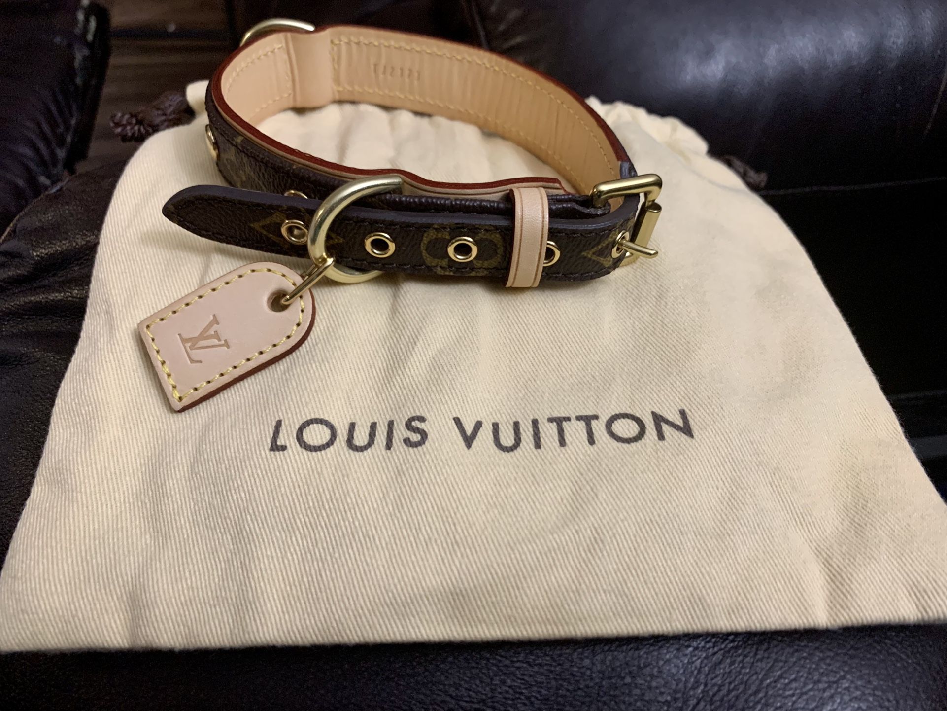 Louis Vuitton Baxter Dog Collar