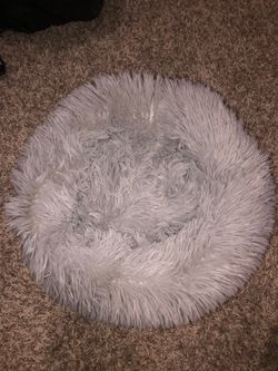 Cat bed