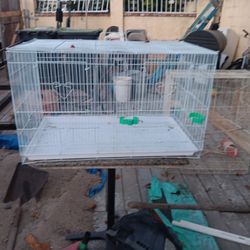 Bird  Cage 