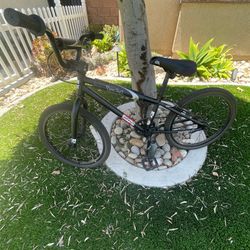 Free Agent Champ BMX
