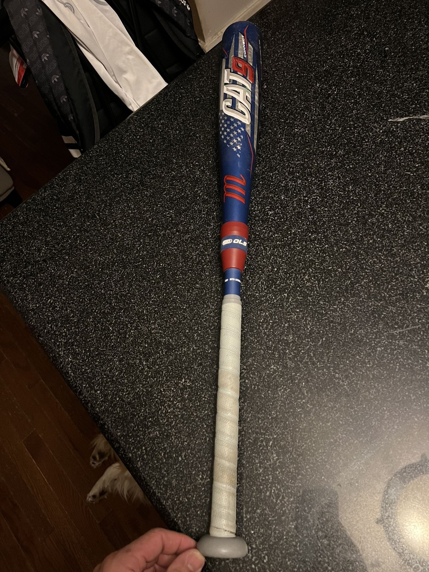 Cat9 Pastime Connect