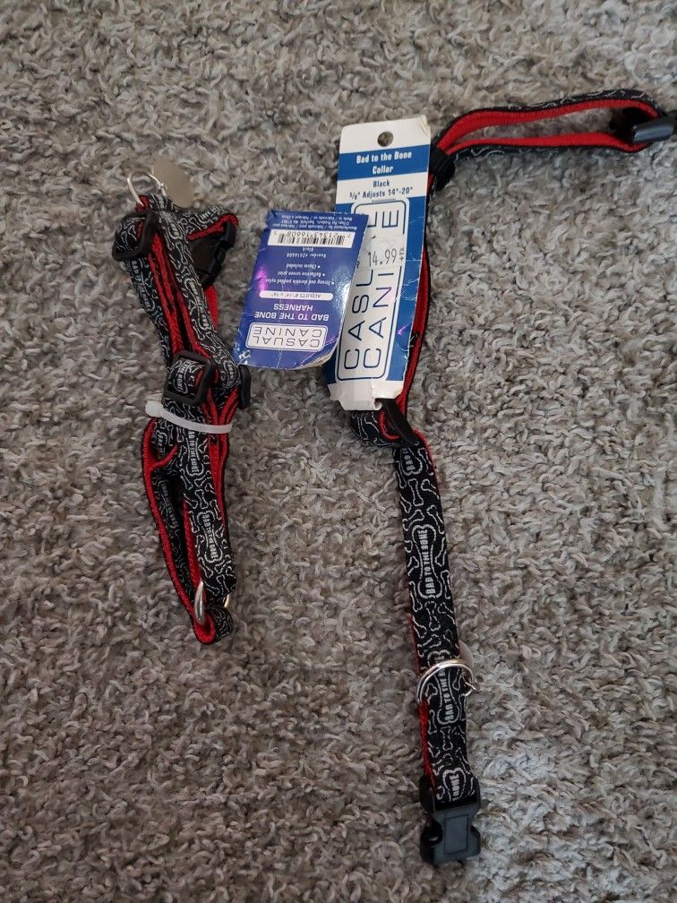 2000$ Worth Of Dog Leashes Collars Outfits Harnesses Etc For 600$