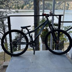 Giant Mountain Bike
