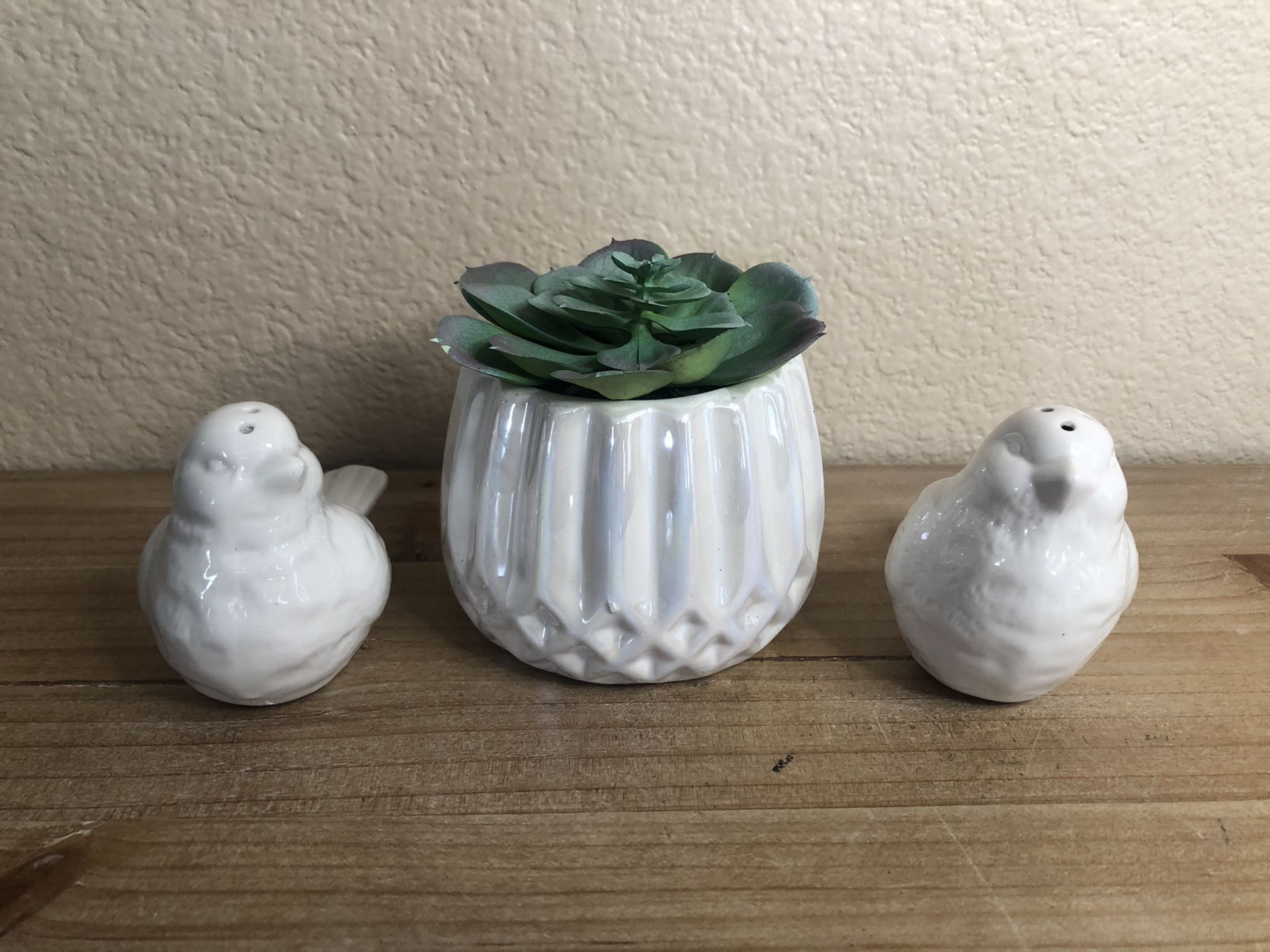 White succulent with birds home decor