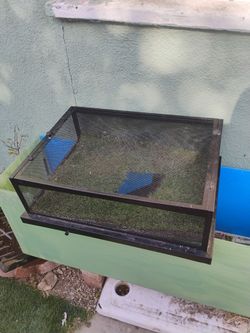 Turtle basking platform
