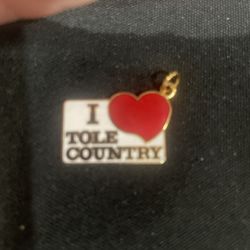 “I Love Tole Country” National Society of Tole Decorative Painters Enamel Charm