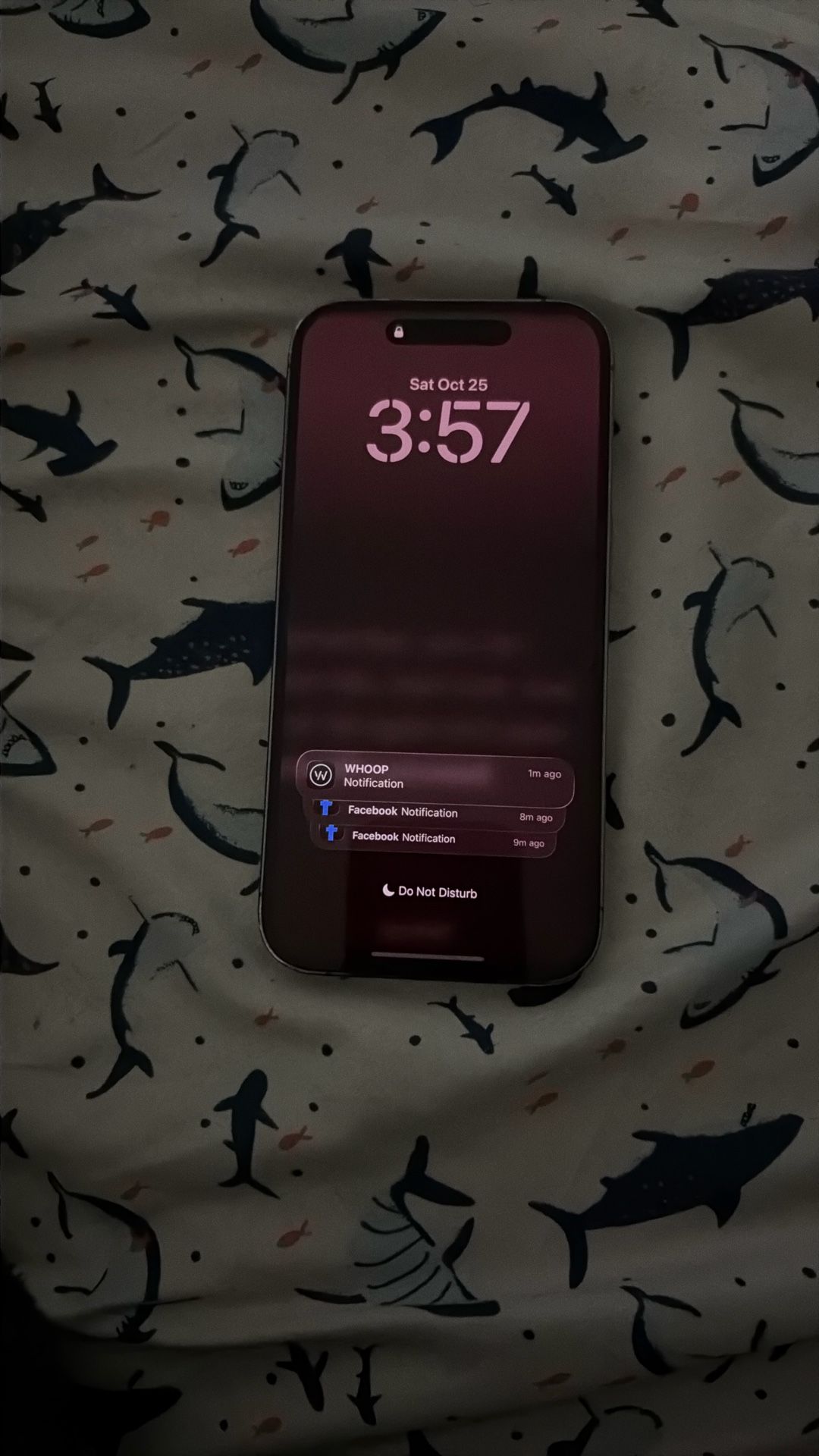 iPhone 14 Pro Unlocked