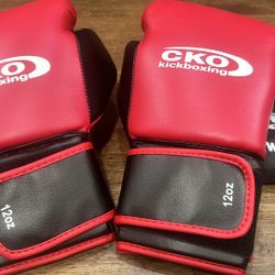 New CKO Kickboxing gloves 