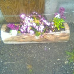 Log Planter
