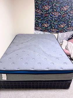 Queen bed & box spring (OBO)