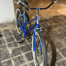 VINTAGE SCHWINN WOMANS 5 Speed CRUISER 