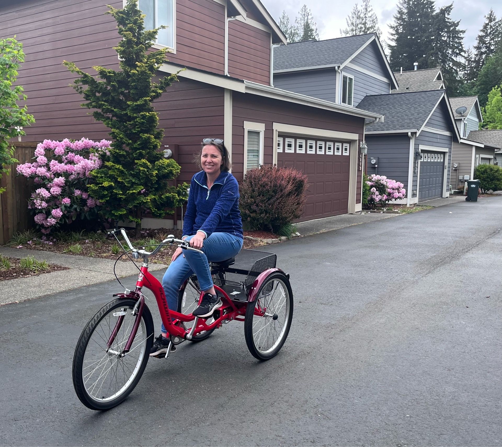 Schwinn meridian 1 trike bike