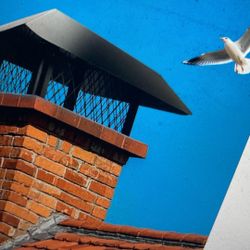 13x13 Galvanised Chimney Cover Cap