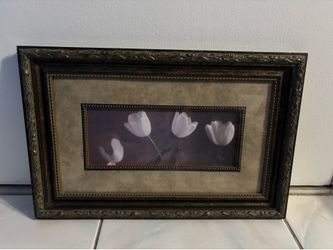 Judy Mandolf Tulip Framed Art Picture 17 x 11”. Wood Frame.