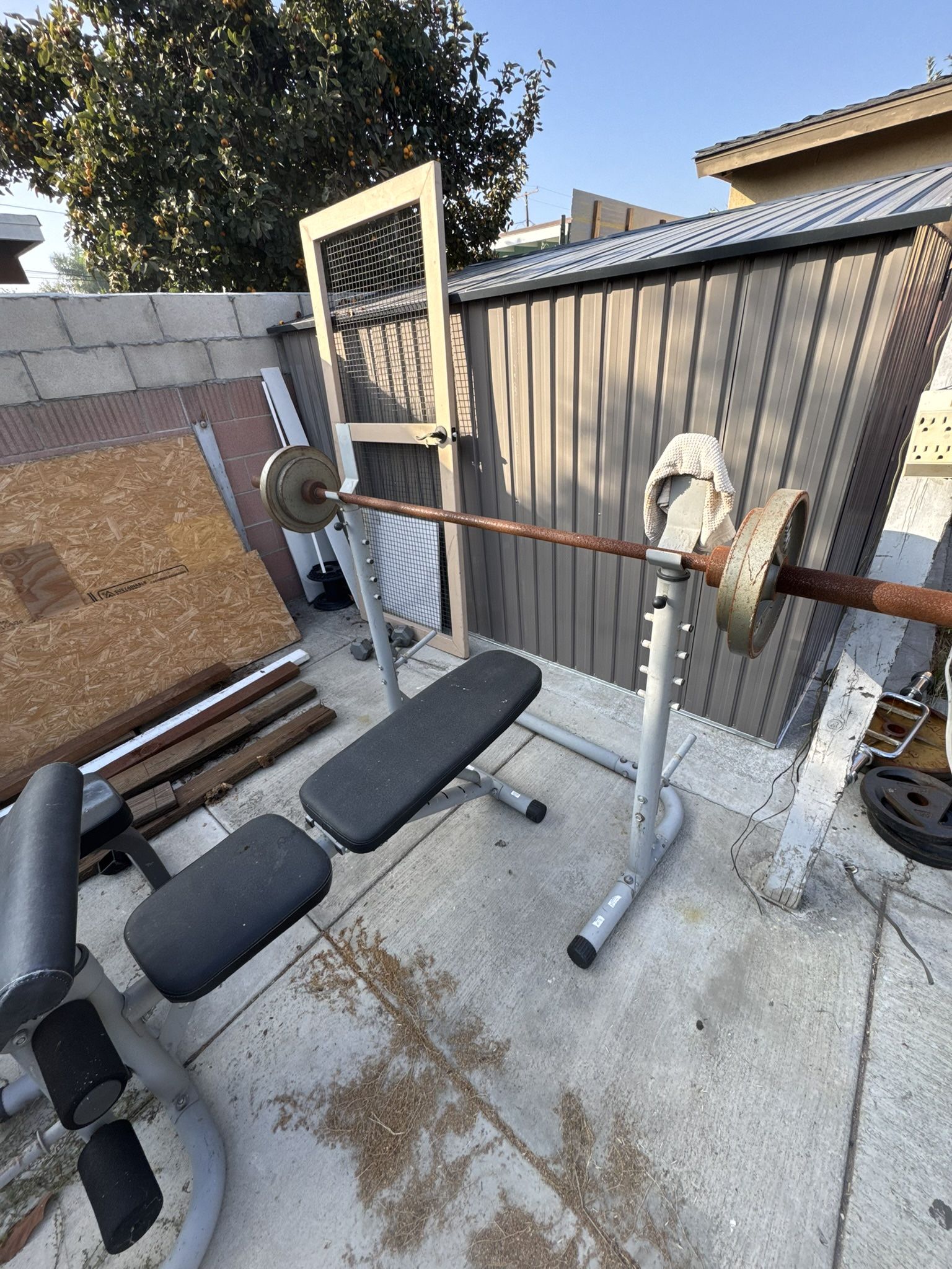 Bench, Barbell, And Rack