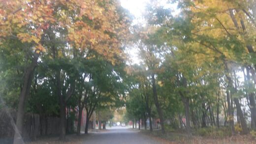 household item west Detroit