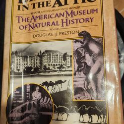 Dinosaurs In The Attic