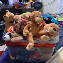 Beanie Babies