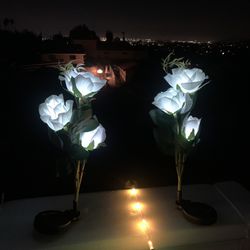 6 White Rose Solar Led Light. Yard Decoration 30 Inches Tall