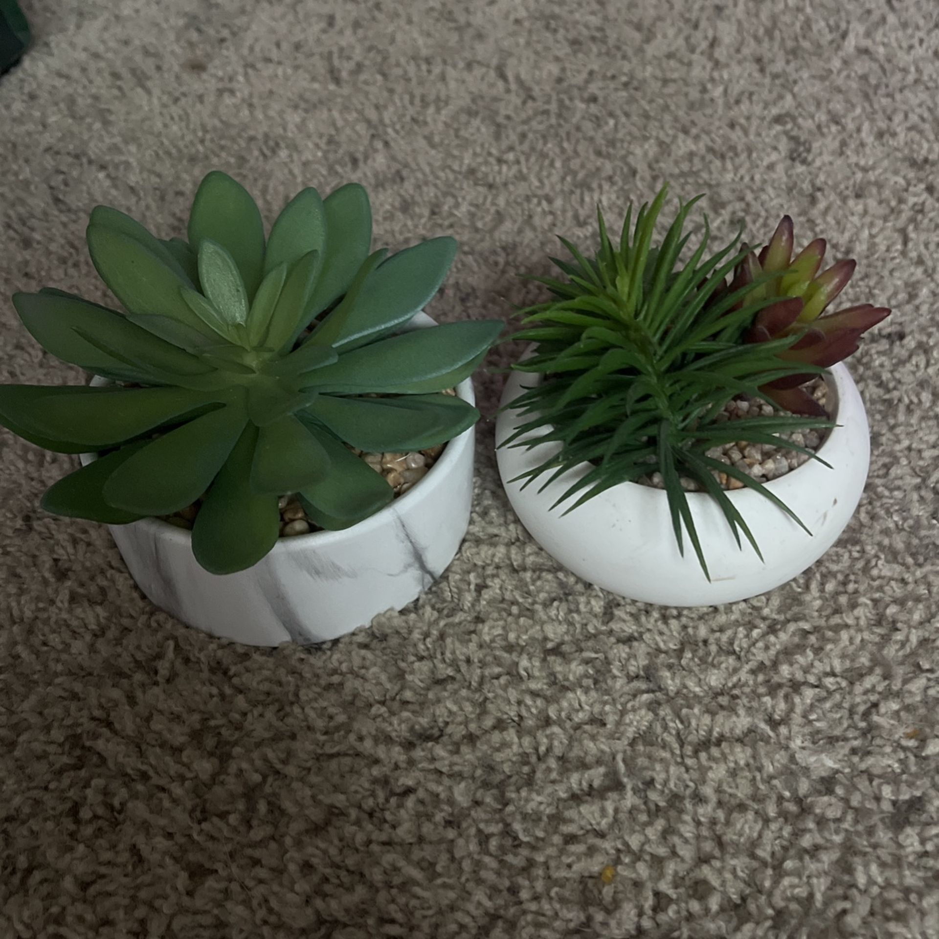 🌱FAKE PLANTS 🪴 