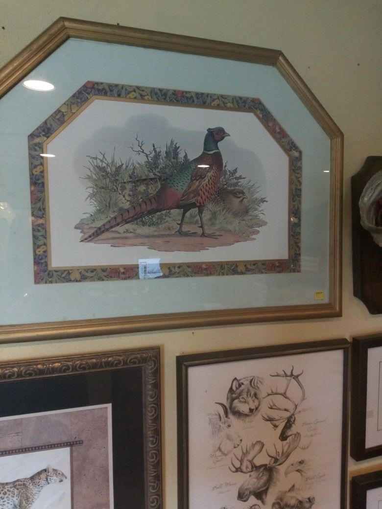 Pheasant Picture with Triple Matted Gold Frame