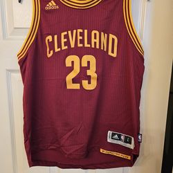 LeBron James Jersey