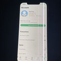 iPhone 12 Pro Max