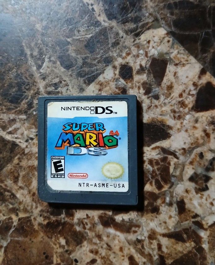 Nintendo DS Video Game