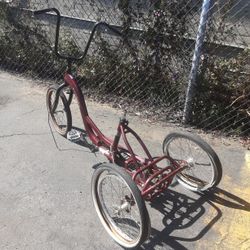 Schwinn Trike