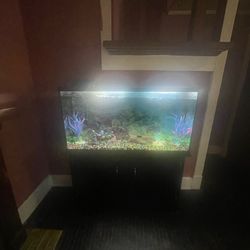 50 Gallon Fish Tank 