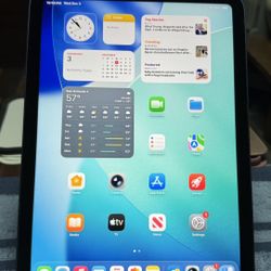 Blue Apple iPad 10th Generation 11 Inch WiFi Only