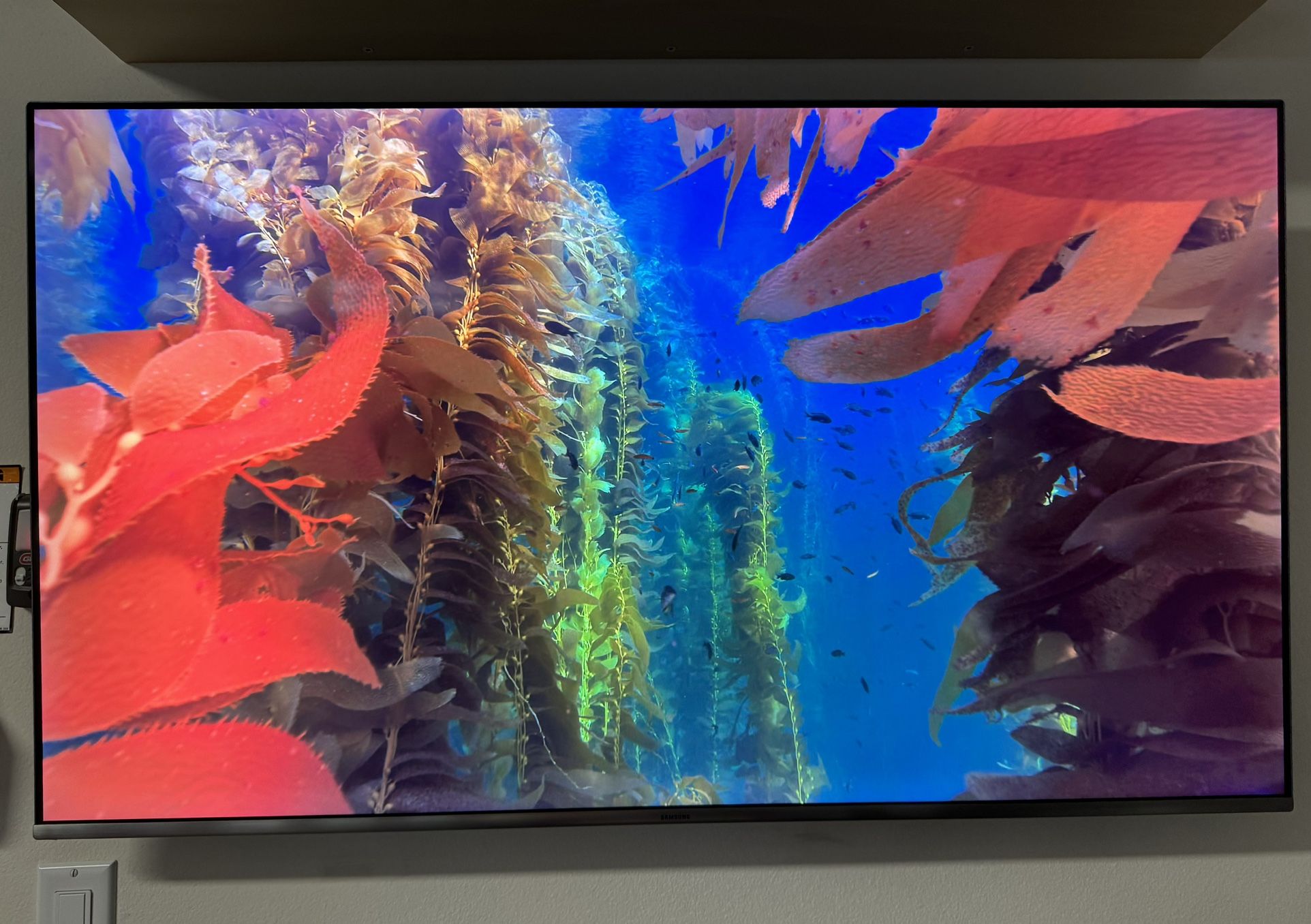 Samsung 49” 4K QLED TV (Model QN49Q6FAM)