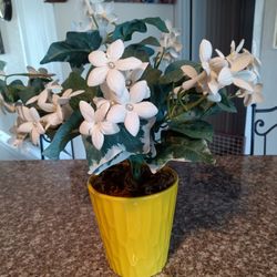 Decorative, Artificial, Plant, Plants 