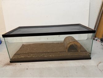 Reptile terrarium with screen lid