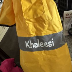 Raincoat Doggy 