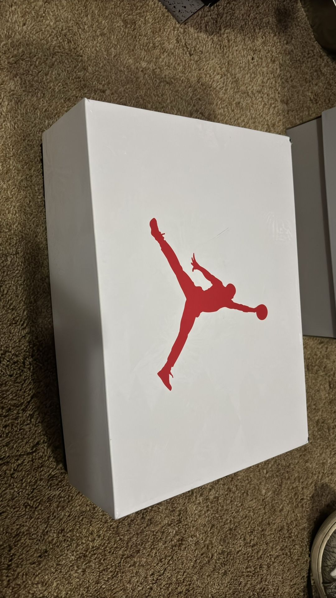 Jordan 6 Retro (2024)