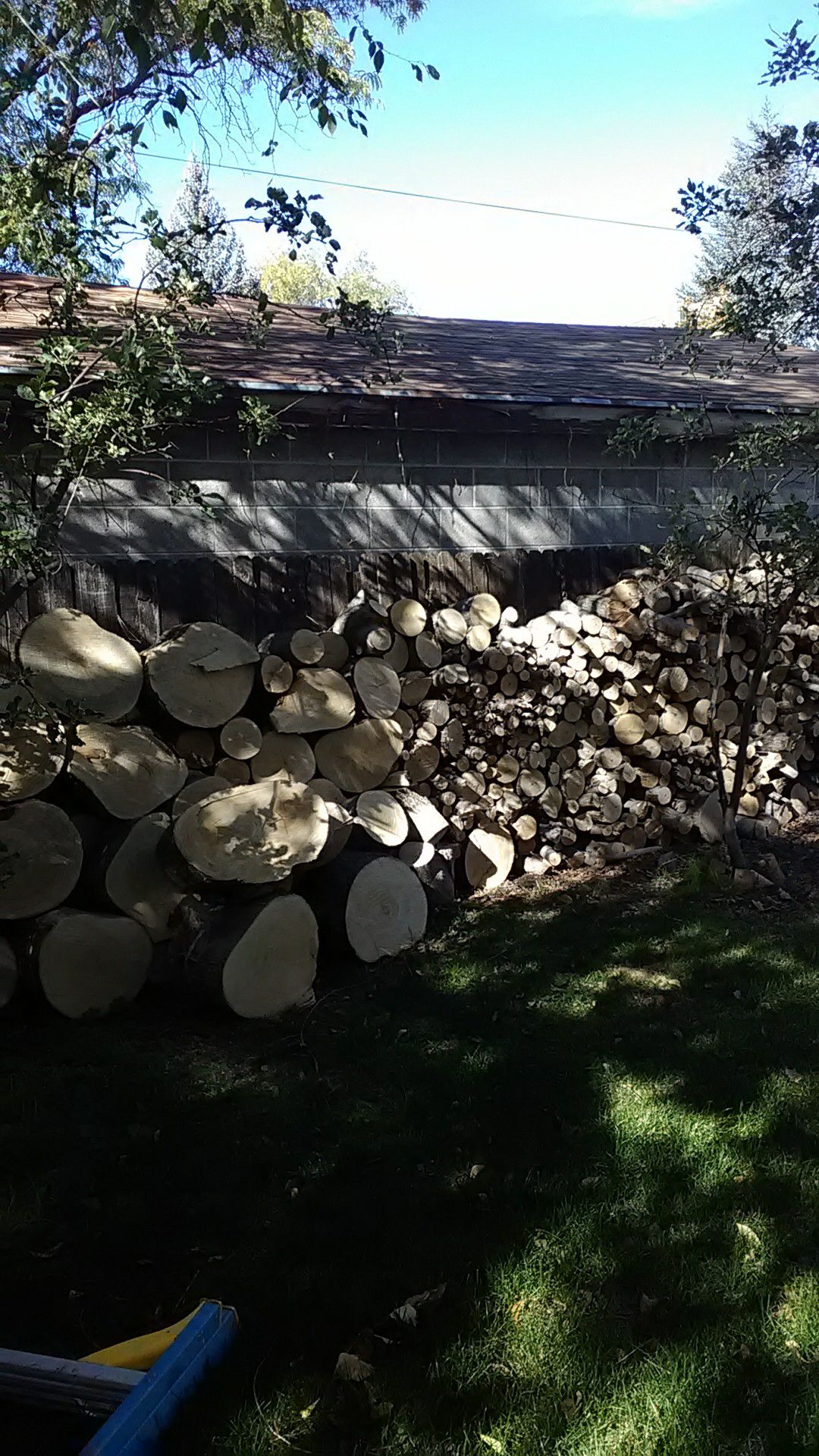 1 1/2 cords of firewood