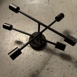 Flush Mount Ceiling Light
