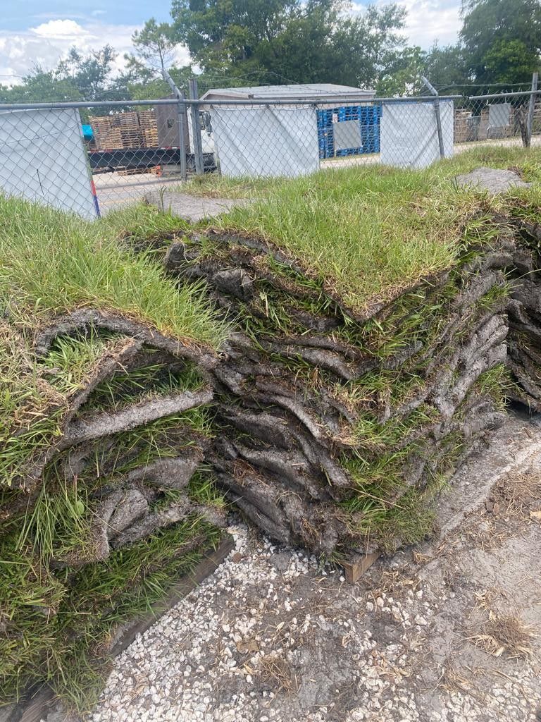 Bahia Sod