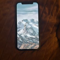 iPhone 12 (Check Desc)