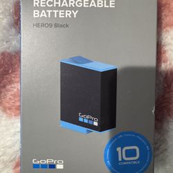 GoPro Battery Hero9 & 10
