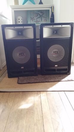 Mtx speakers 12inch