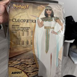 Brand New Cleopatra Halloween Costume – Adult XL