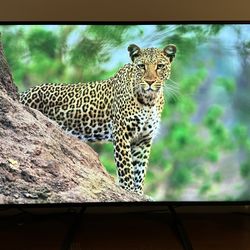 Samsung 50” 4K Smart TV with Remote Control COMPLETE