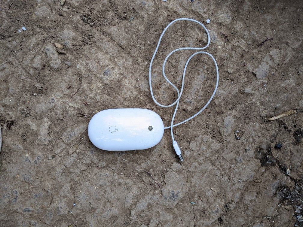 Apple Mouse