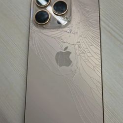 iPhone 16 Pro (back Glass Broken)
