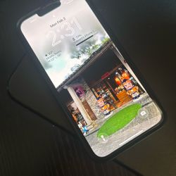 IPhone 13 Pro Max 256GB Unlocked & Mint Condition