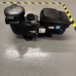Pool Pump