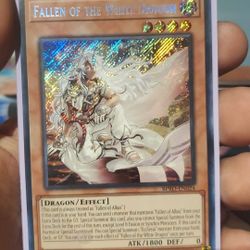 Yugioh Fallen of white dragon