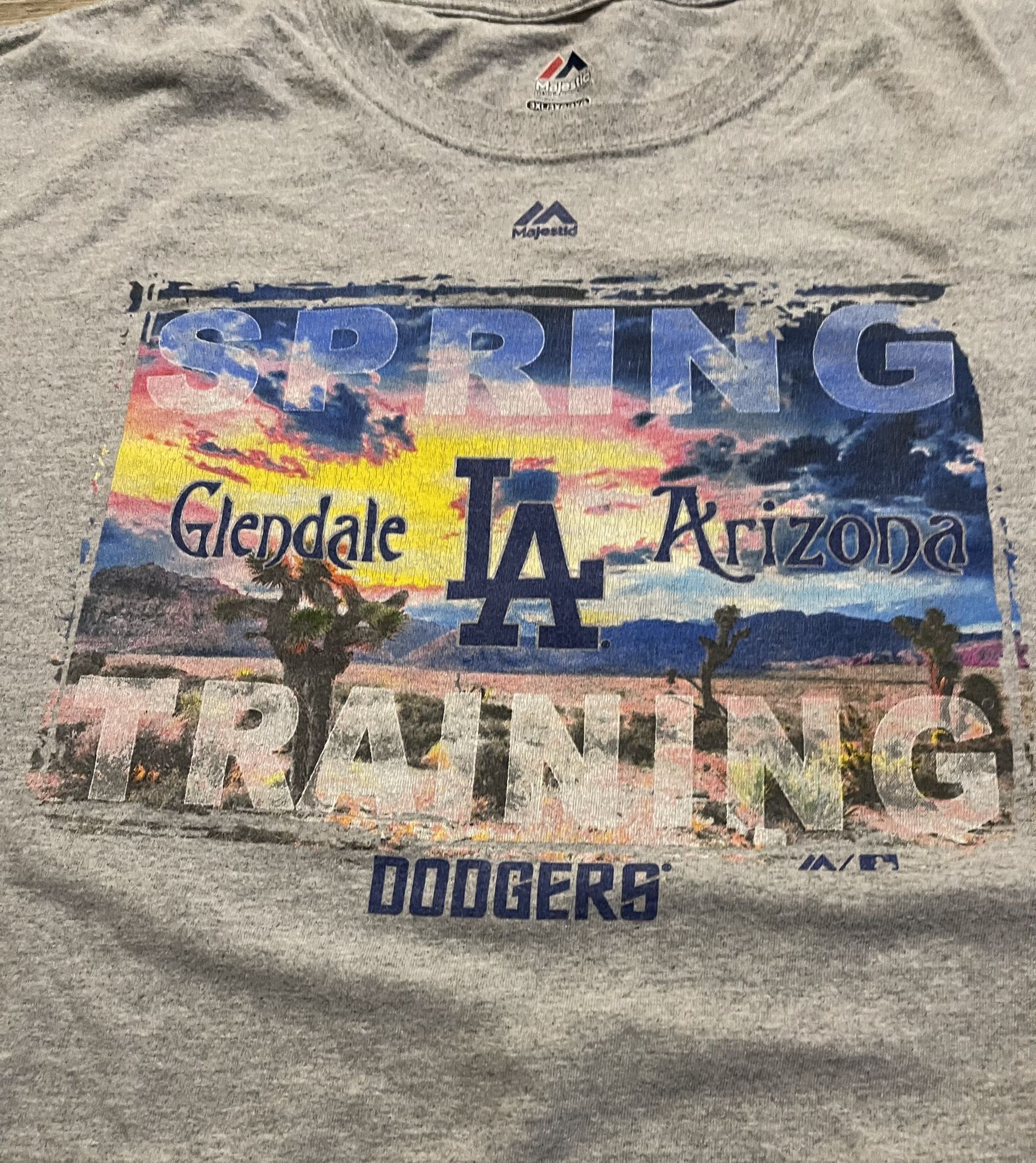 Los Angles Dodgers MLB Baseball Spring Training  Glendale AZ Tee 3XL 